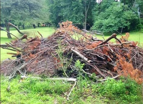 Brush debris — image from AAA Land Management’s existing portfolio