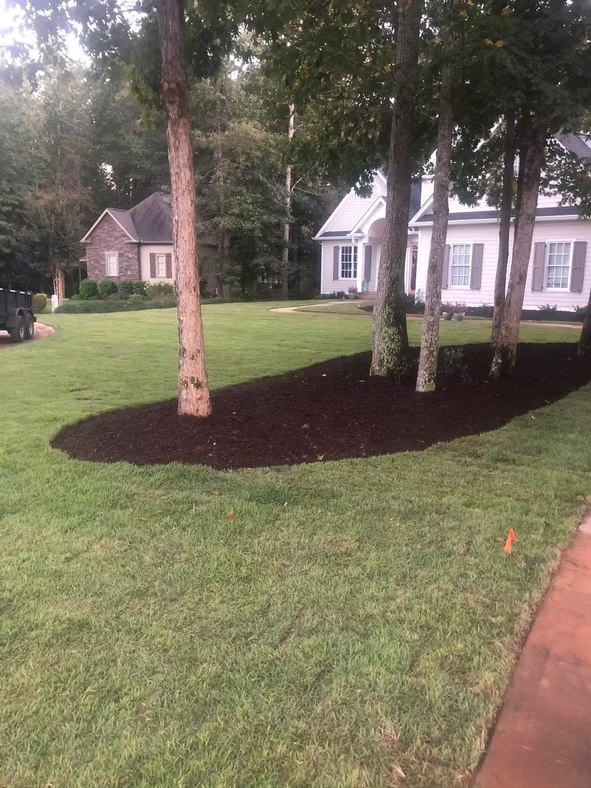 Mulched landscape beds — image from AAA Land Management’s existing portfolio
