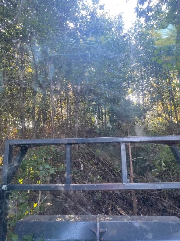 Wooded property access — image from AAA Land Management’s existing portfolio